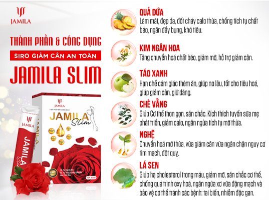 THÀNH PHẦN VÀ CÔNG DỤNG CỤ THỂ CỦA MỖI THÀNH PHẦN ĐỂ LÀM NÊN MỖI GÓI SIRO JAMILA SLIM LÀ GÌ?